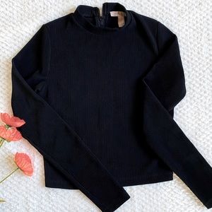 NWOT Forever 21 Ribbed Zipper Back Mock-Neck Crop Top